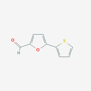 molecular formula C9H6O2S B1276123 5-Thien-2-yl-2-furaldehyde CAS No. 32364-30-0