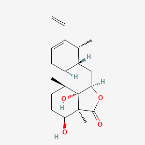 molecular formula C20H28O4 B12762501 Sonomolide B CAS No. 172486-69-0