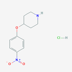 4-(4-Nitrophenoxy)piperidine hydrochloride