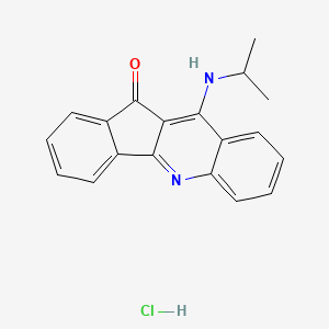 molecular formula C19H17ClN2O B12770254 11H-Indeno(1,2-b)quinolin-11-one, 10-(isopropylamino)-, monohydrochloride CAS No. 104785-14-0