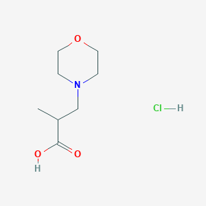 2-Methyl-3-morpholin-4-ylpropanoic acid hydrochloride