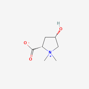molecular formula C7H13NO3 B12771724 L-Turicine CAS No. 174851-67-3