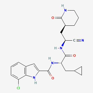 molecular formula C23H26ClN5O3 B12783405 Pomotrelvir CAS No. 2713437-86-4
