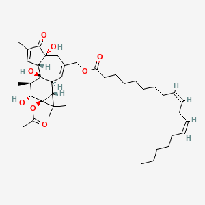 molecular formula C40H60O8 B12784653 13-O-Acetylphorbol-20-(9Z,12Z)-octadecadienoate CAS No. 250268-53-2