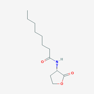 molecular formula C12H21NO3 B127849 N-Octanoyl-L-homoserine lactone CAS No. 147852-84-4