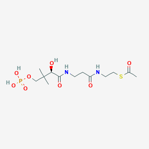 molecular formula C13H25N2O8PS B12785588 S-Acetylphosphopantetheine CAS No. 129932-89-4
