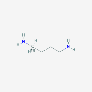 molecular formula C4H12N2 B12789417 Putrescine, C-11 CAS No. 100817-98-9