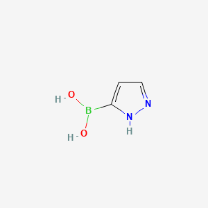 molecular formula C3H5BN2O2 B1279502 Pyrazole-3-boronic acid CAS No. 376584-63-3