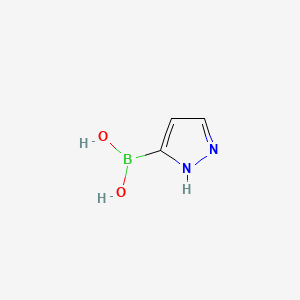 molecular formula C3H5BN2O2 B1279502 1H-Pyrazol-3-ylboronic acid CAS No. 376584-63-3