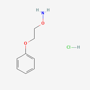 molecular formula C8H12ClNO2 B1280171 O-(2-Phenoxyethyl)hydroxylamine hydrochloride CAS No. 5397-72-8
