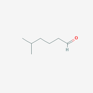 molecular formula C7H14O B128087 5-甲基己醛 CAS No. 1860-39-5
