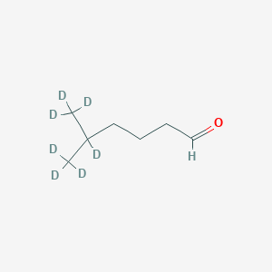 molecular formula C7H14O B128092 5-Methylhexanal-d7 CAS No. 947141-18-6
