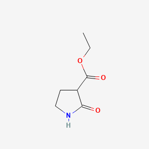 molecular formula C7H11NO3 B1281105 2-氧代吡咯烷-3-羧酸乙酯 CAS No. 36821-26-8