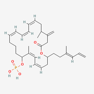 molecular formula C31H45O6P B12817294 7,19-Dimethyl-20-methylene-2-(3-methylhexa-3,5-dien-1-yl)-22-oxooxacyclodocosa-4,6,12,14,16-pentaen-8-yl dihydrogen phosphate 