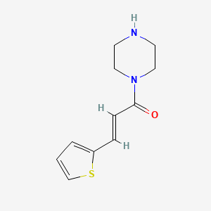molecular formula C11H14N2OS B1282231 1-[(2E)-3-thien-2-ylprop-2-enoyl]piperazine 