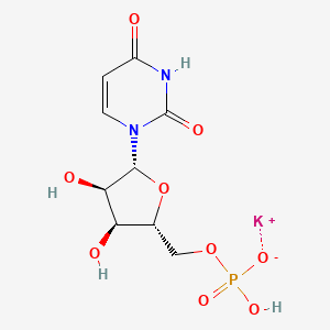 molecular formula C9H12KN2O9P B12827127 potassium;[(2R,3S,4R,5R)-5-(2,4-dioxopyrimidin-1-yl)-3,4-dihydroxyoxolan-2-yl]methyl hydrogen phosphate 