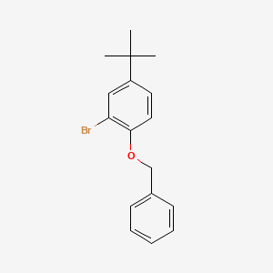 molecular formula C17H19BrO B1283412 1-Benzyloxy-2-bromo-4-t-butylbenzene CAS No. 52458-11-4