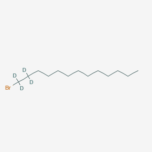 molecular formula C13H27B B1284234 1-Bromotridecane-1,1,2,2-d4 CAS No. 284474-45-9