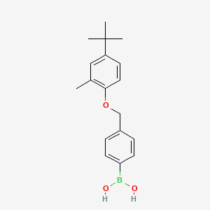 4-[(4-tert-Butyl-2-methylphenoxy)methyl]phenylboronic acid