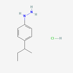 molecular formula C10H17ClN2 B1284373 (4-(sec-Butyl)phenyl)hydrazine hydrochloride CAS No. 1049748-81-3