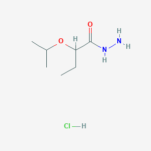 molecular formula C7H17ClN2O2 B1284399 2-异丙氧基丁酰肼盐酸盐 CAS No. 1049749-98-5