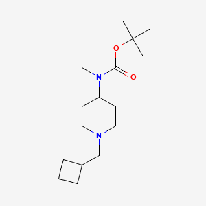molecular formula C16H30N2O2 B12847042 tert-butyl N-[1-(cyclobutylmethyl)piperidin-4-yl]-N-methylcarbamate 