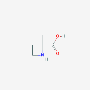 molecular formula C5H9NO2 B12851096 2-Methylazetidine-2-carboxylic acid 