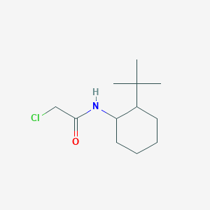 molecular formula C12H22ClNO B1285120 N-(2-Tert-butylcyclohexyl)-2-chloroacetamide CAS No. 25329-22-0