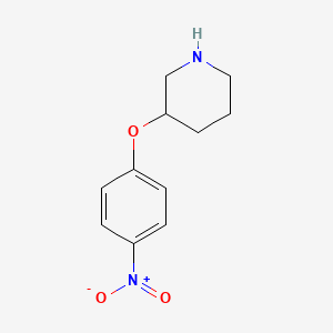 molecular formula C11H14N2O3 B12851647 3-(4-Nitro-phenoxy)-piperidine CAS No. 1187927-81-6