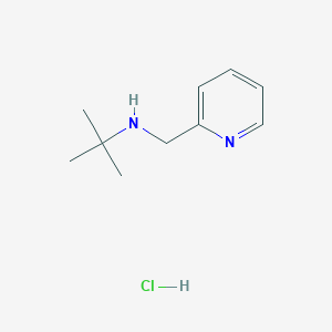 molecular formula C10H17ClN2 B1285201 2-Methyl-N-(2-pyridinylmethyl)-2-propanamine hydrochloride CAS No. 1049712-99-3