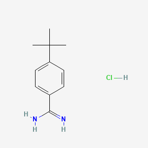molecular formula C11H17ClN2 B1285232 4-(tert-Butyl)benzimidamide hydrochloride CAS No. 68284-01-5