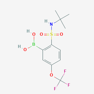 molecular formula C11H15BF3NO5S B12852890 (2-(N-(tert-butyl)sulfamoyl)-5-(trifluoromethoxy)phenyl)boronic acid 