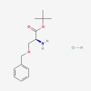 molecular formula C14H22ClNO3 B12857630 tert-Butyl O-benzyl-L-serinate hydrochloride 
