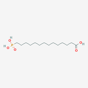 molecular formula C14H29O5P B12860134 14-Phosphonotetradecanoic acid 