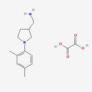 1-[1-(2,4-Dimethylphenyl)pyrrolidin-3-yl]methanamine oxalate