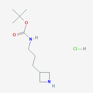molecular formula C11H23ClN2O2 B12866159 tert-Butyl N-[3-(azetidin-3-yl)propyl]carbamate hydrochloride 