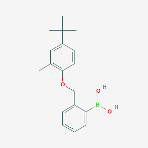 molecular formula C18H23BO3 B1286893 (2-((4-(tert-Butyl)-2-methylphenoxy)methyl)phenyl)boronic acid CAS No. 1072951-76-8