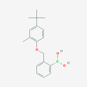 (2-((4-(tert-Butyl)-2-methylphenoxy)methyl)phenyl)boronic acid