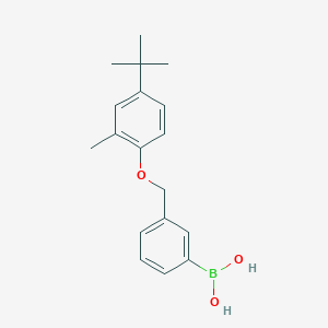 molecular formula C18H23BO3 B1286895 (3-((4-(tert-Butyl)-2-methylphenoxy)methyl)phenyl)boronic acid CAS No. 1072951-66-6