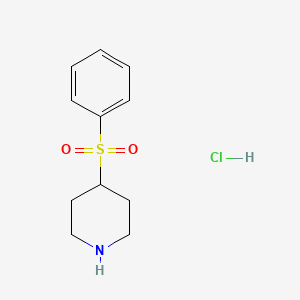 molecular formula C11H16ClNO2S B1287040 4-Benzenesulfonylpiperidine hydrochloride CAS No. 1172500-91-2