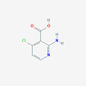 molecular formula C6H5ClN2O2 B1287456 2-Amino-4-chloronicotinic acid CAS No. 605661-83-4