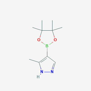 molecular formula C10H17BN2O2 B1287884 5-Methyl-4-(4,4,5,5-tetramethyl-1,3,2-dioxaborolan-2-yl)-1H-pyrazole CAS No. 936250-20-3