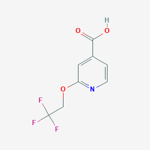 molecular formula C8H6F3NO3 B1288336 2-(2,2,2-Trifluoroethoxy)pyridine-4-carboxylic acid CAS No. 262296-01-5