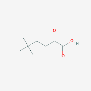 molecular formula C8H14O3 B1288645 5,5-Dimethyl-2-oxohexanoic acid 