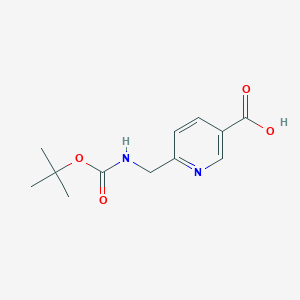 molecular formula C12H16N2O4 B1288868 6-(Boc-Aminomethyl)nicotinic acid CAS No. 170097-87-7