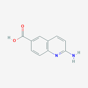 molecular formula C10H8N2O2 B1289070 2-Aminoquinoline-6-carboxylic acid CAS No. 736919-39-4