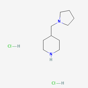 molecular formula C10H22Cl2N2 B1290479 4-(Pyrrolidin-1-ylmethyl)piperidine dihydrochloride CAS No. 780756-54-9