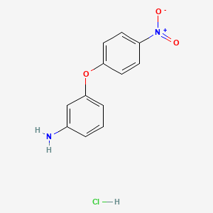 molecular formula C12H11ClN2O3 B1290639 3-(4-Nitrophenoxy)aniline hydrochloride CAS No. 19157-81-4