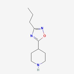 molecular formula C10H17N3O B1290653 5-(Piperidin-4-Yl)-3-Propyl-1,2,4-Oxadiazole CAS No. 902837-03-0