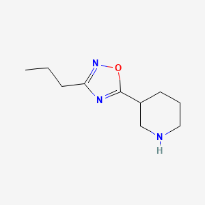 molecular formula C10H17N3O B1290654 5-(Piperidin-3-yl)-3-propyl-1,2,4-oxadiazole CAS No. 902837-18-7